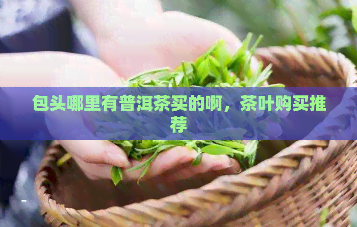 包头哪里有普洱茶买的啊，茶叶购买推荐