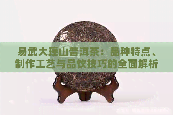 易武大瑶山普洱茶：品种特点、制作工艺与品饮技巧的全面解析