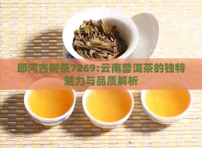 郎河古树茶7269:云南普洱茶的独特魅力与品质解析