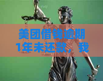 美团借钱逾期1年未还款，我该如何解决？用户可能需要了解的全攻略