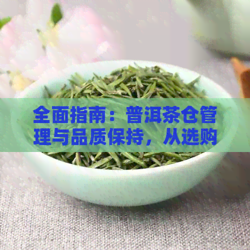 全面指南：普洱茶仓管理与品质保持，从选购到保存的全方位解析