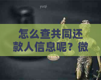 怎么查共同还款人信息呢？微信、电话、记录查询方法及主贷人还款记录查询。