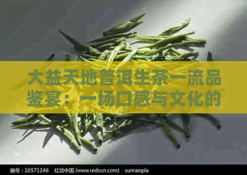 大益天地普洱生茶一流品鉴宴：一场口感与文化的完美融合