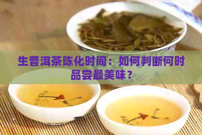 生普洱茶陈化时间：如何判断何时品尝最美味？