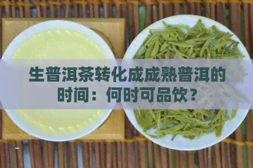 生普洱茶转化成成熟普洱的时间：何时可品饮？