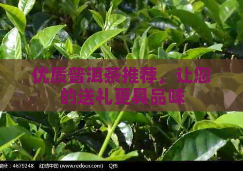 优质普洱茶推荐，让您的送礼更具品味