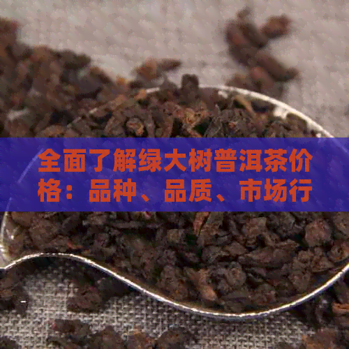 全面了解绿大树普洱茶价格：品种、品质、市场行情与收藏价值分析