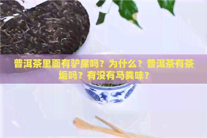 普洱茶里面有驴屎吗？为什么？普洱茶有茶垢吗？有没有马粪味？