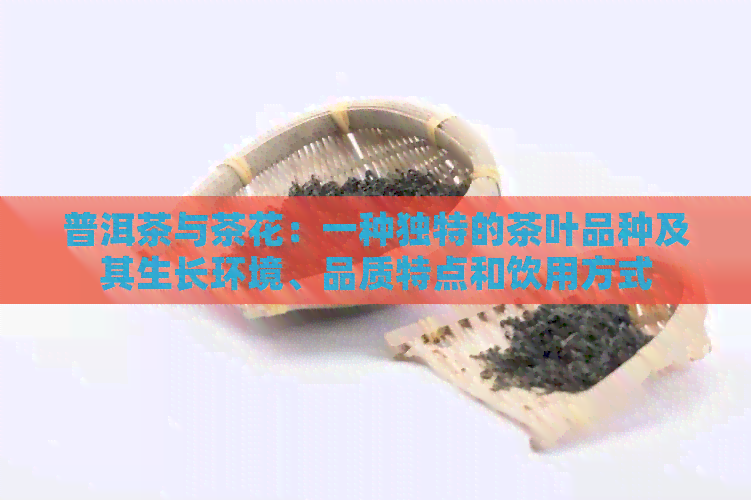 普洱茶与茶花：一种独特的茶叶品种及其生长环境、品质特点和饮用方式