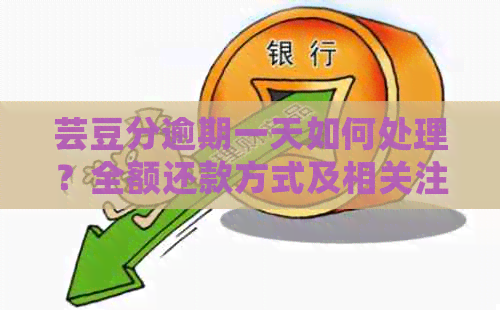 芸豆分逾期一天如何处理？全额还款方式及相关注意事项