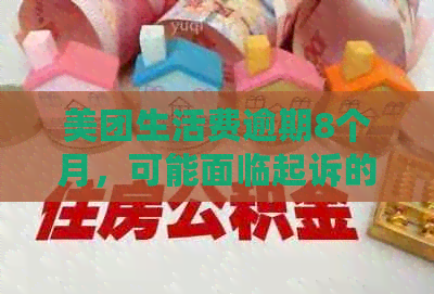 美团生活费逾期8个月，可能面临起诉的风险吗？如何解决逾期问题？