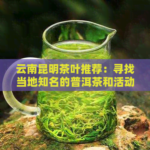 云南昆明茶叶推荐：寻找当地知名的普洱茶和活动资讯