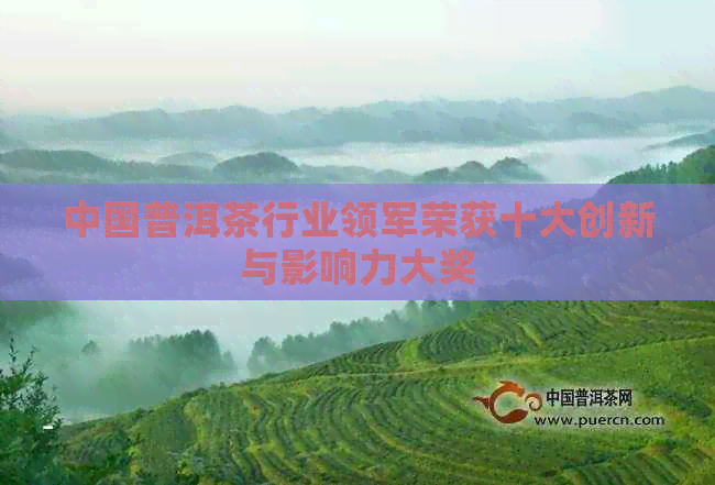 中国普洱茶行业领军荣获十大创新与影响力大奖