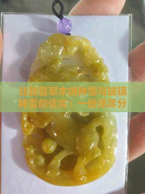 比较翡翠木纳种雪与玻璃种雪的优劣：一份详尽分析