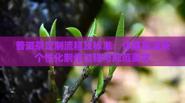 普洱茶定制流程及标准：详解普洱茶个性化制作过程与规范要求