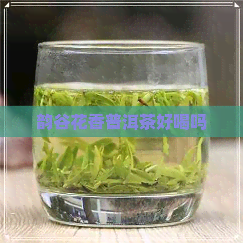 韵谷花香普洱茶好喝吗