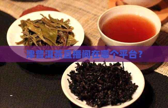 津普洱茶直播间在哪个平台？