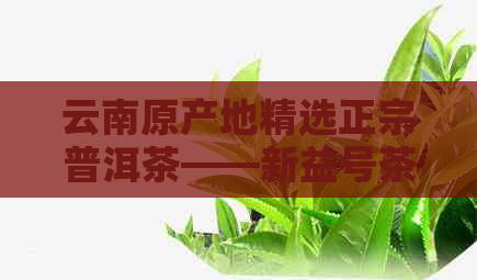 云南原产地精选正宗普洱茶——新益号茶叶批发促销活动
