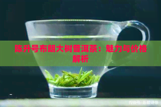 陈升号布朗大树普洱茶：魅力与价格解析