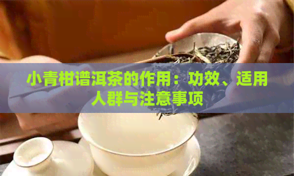 小青柑谱洱茶的作用：功效、适用人群与注意事项