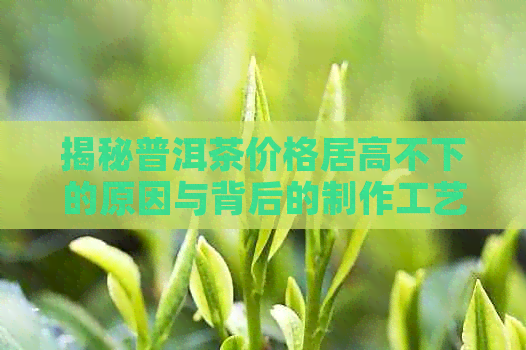 揭秘普洱茶价格居高不下的原因与背后的制作工艺