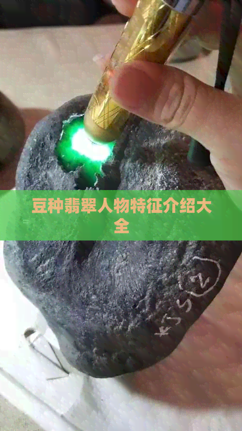 豆种翡翠人物特征介绍大全