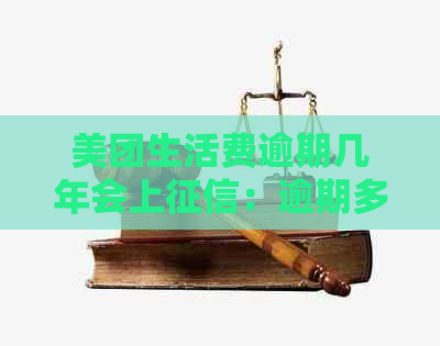 美团生活费逾期几年会上：逾期多久上记录？