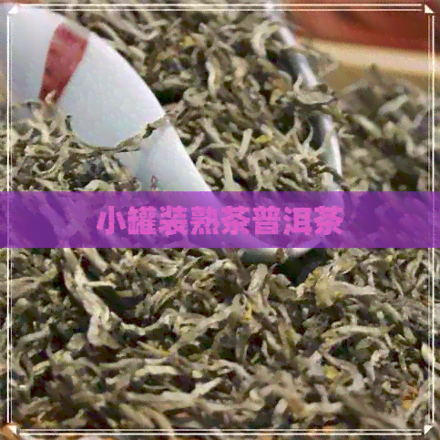 小罐装熟茶普洱茶