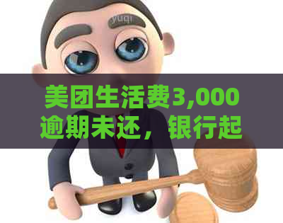 美团生活费3,000逾期未还，银行起诉并冻结账户