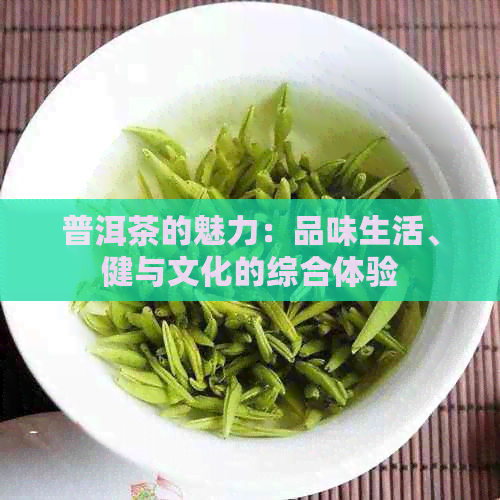 普洱茶的魅力：品味生活、健与文化的综合体验