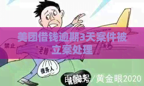 美团借钱逾期3天案件被立案处理