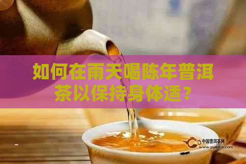 如何在雨天喝陈年普洱茶以保持身体适？