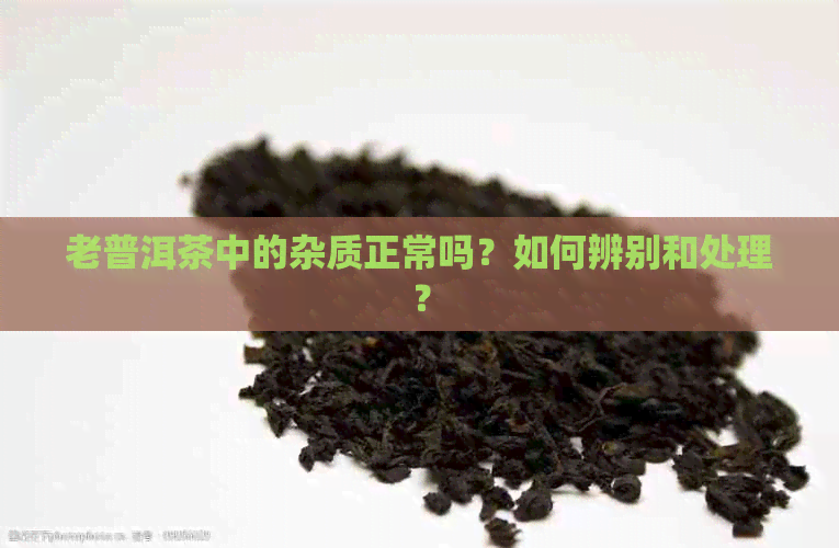 老普洱茶中的杂质正常吗？如何辨别和处理？