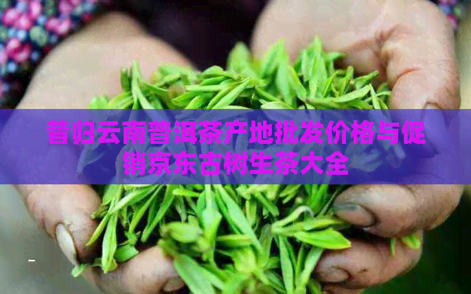 昔归云南普洱茶产地批发价格与促销京东古树生茶大全