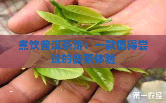 煮饮普洱茶饼：一款值得尝试的熟茶体验