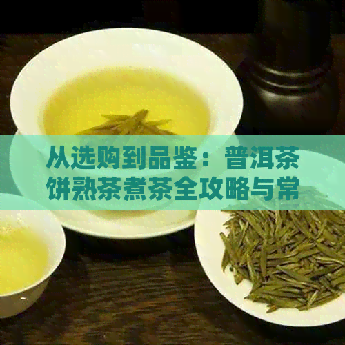 从选购到品鉴：普洱茶饼熟茶煮茶全攻略与常见问题解答