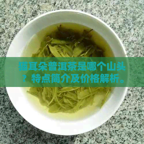 猫耳朵普洱茶是哪个山头？特点简介及价格解析。