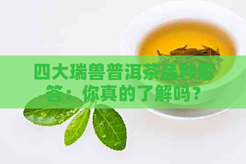 四大瑞兽普洱茶品种解答：你真的了解吗？