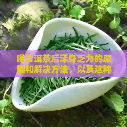 喝普洱茶后浑身乏力的原因和解决方法，以及这种现象是否正常。