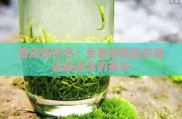 普洱茶排名：全面指南助你挑选最适合的茶叶