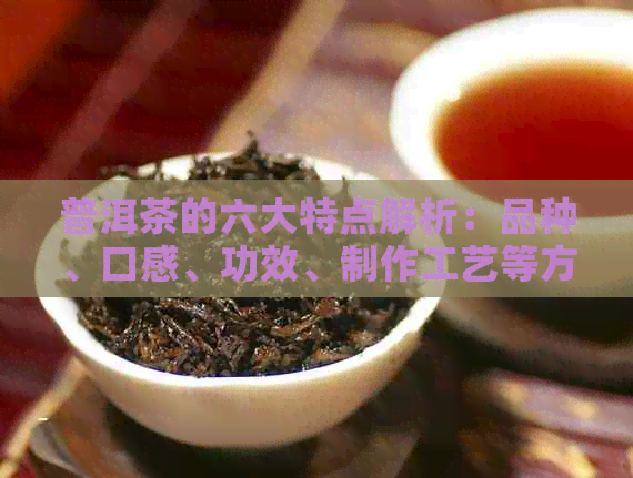 普洱茶的六大特点解析：品种、口感、功效、制作工艺等方面的全面了解