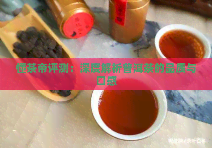 懂茶帝评测：深度解析普洱茶的品质与口感