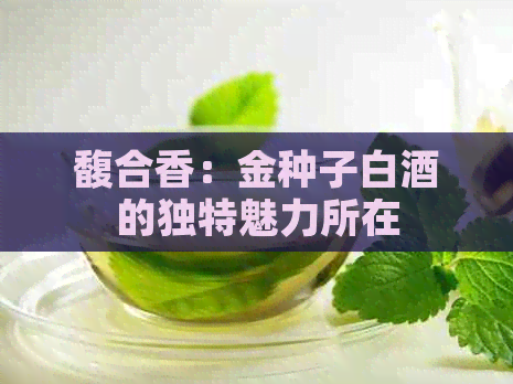 馥合香：金种子白酒的独特魅力所在