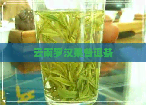 云南罗汉果普洱茶