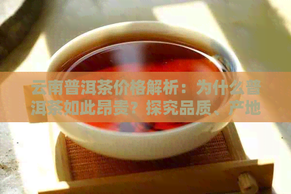 云南普洱茶价格解析：为什么普洱茶如此昂贵？探究品质、产地和市场影响