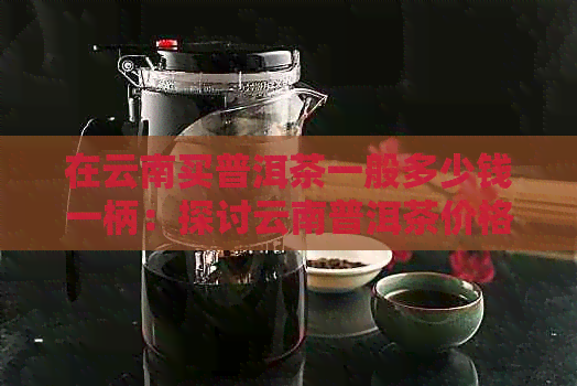 在云南买普洱茶一般多少钱一柄：探讨云南普洱茶价格及市场行情