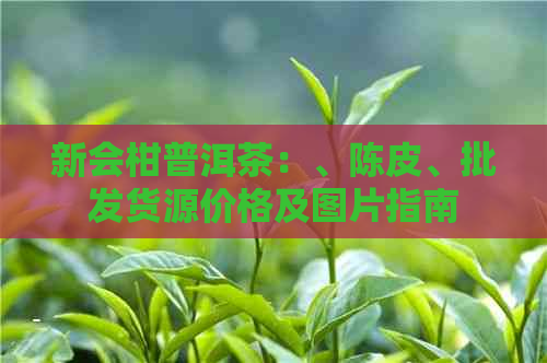 新会柑普洱茶：、陈皮、批发货源价格及图片指南