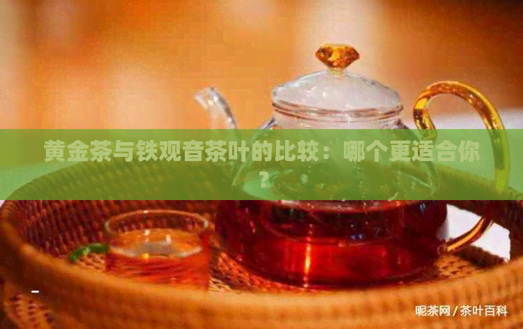 黄金茶与铁观音茶叶的比较：哪个更适合你？