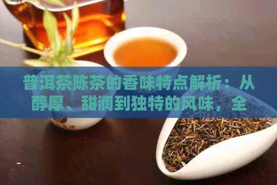 普洱茶陈茶的香味特点解析：从醇厚、甜润到独特的风味，全面了解其魅力所在