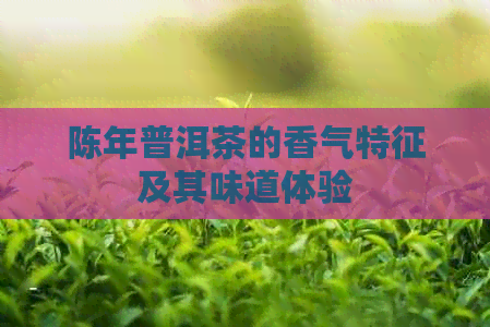 陈年普洱茶的香气特征及其味道体验